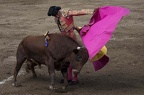 2015-08-2015 Bullfight - Guadalajara, MX