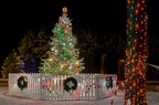 2020-12-14 Christmas Lights