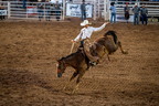 2026-07-24 rodeo